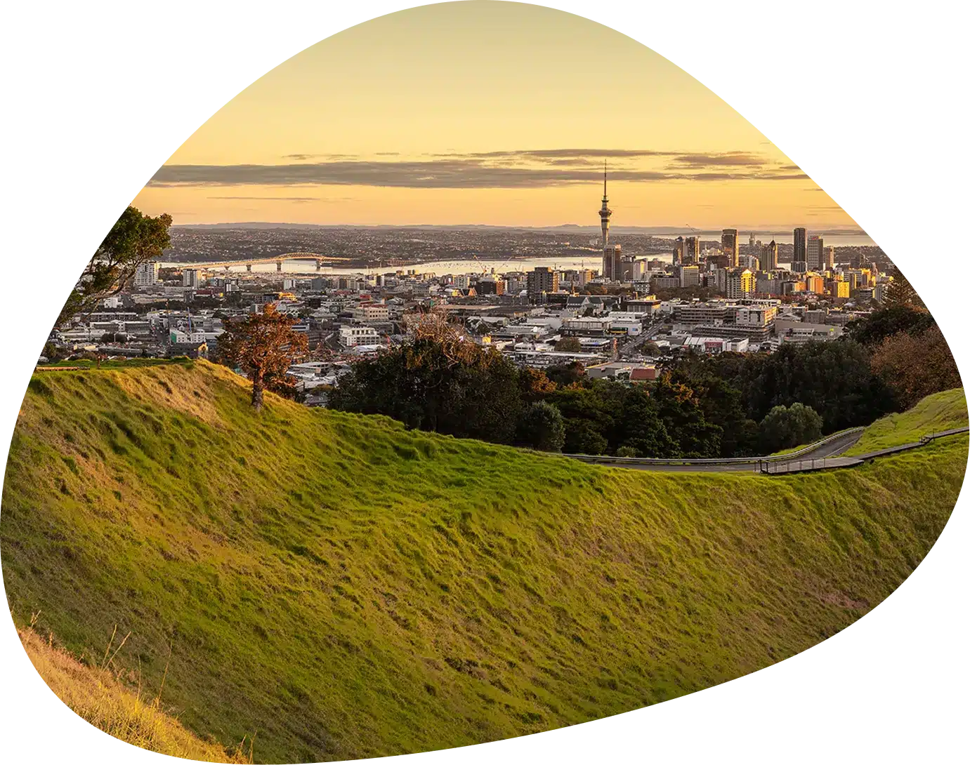 Campervan hire Auckland – Road Runner Rentals fleet parked at Auckland depot